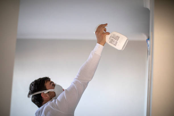 Best Commercial Mold Remediation in , NV